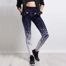 Load image into Gallery viewer, Fitness Tights Yoga Pants